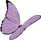 violetbutterfly