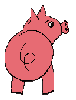 babi.genitz