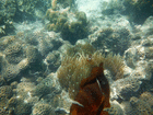 underwaterlpg