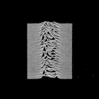 profile-picture