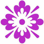 profile-picture