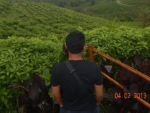 hendroputraalam