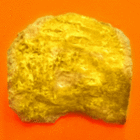 profile-picture
