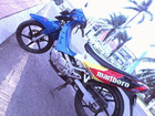 profile-picture