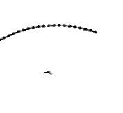 profile-picture