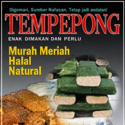 tempepong