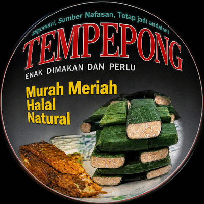 tempepong