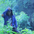 blackbriar666