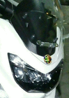 profile-picture