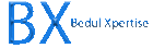 bedulxpertise