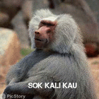mamanya.bodat