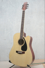 gitarbangray