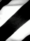 profile-picture