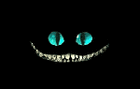 profile-picture