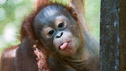profile-picture