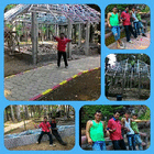 profile-picture