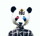 profile-picture