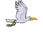 profile-picture