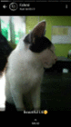 profile-picture