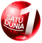 satudunia.id