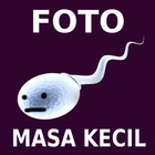 profile-picture