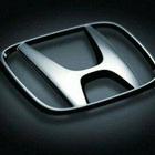 profile-picture