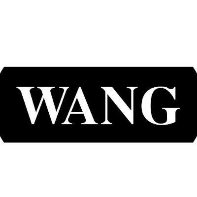 wangtv