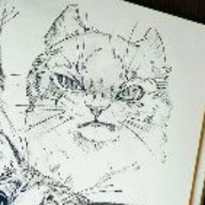 profile-picture