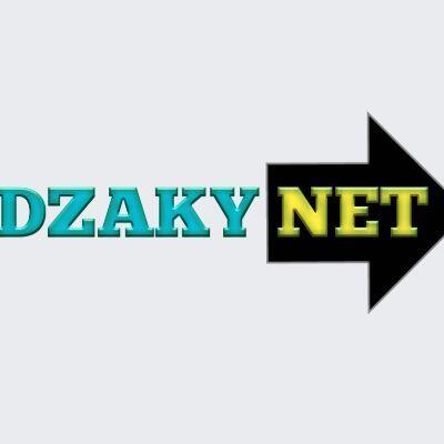 dzakynet.com
