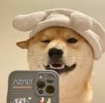 profile-picture