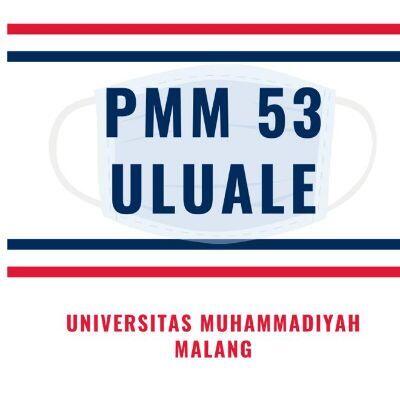pmmuluale53
