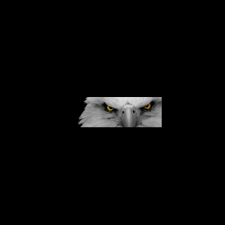 profile-picture