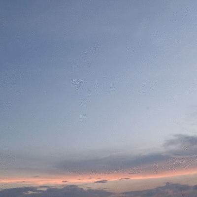 sandiprawiro