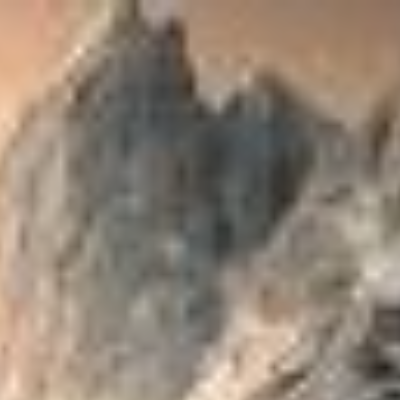 profile-picture