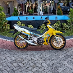 yanukrisdianto8