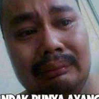 fedilimatiga508