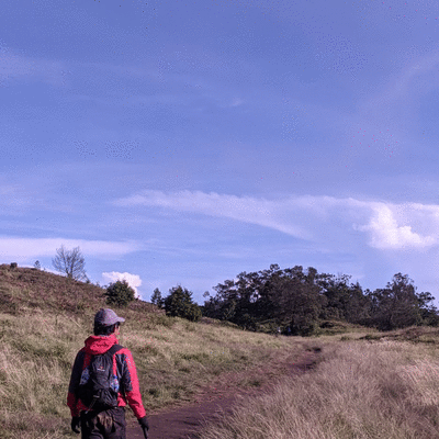 rbnputraaa
