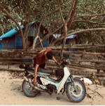 www.ilhamw29866